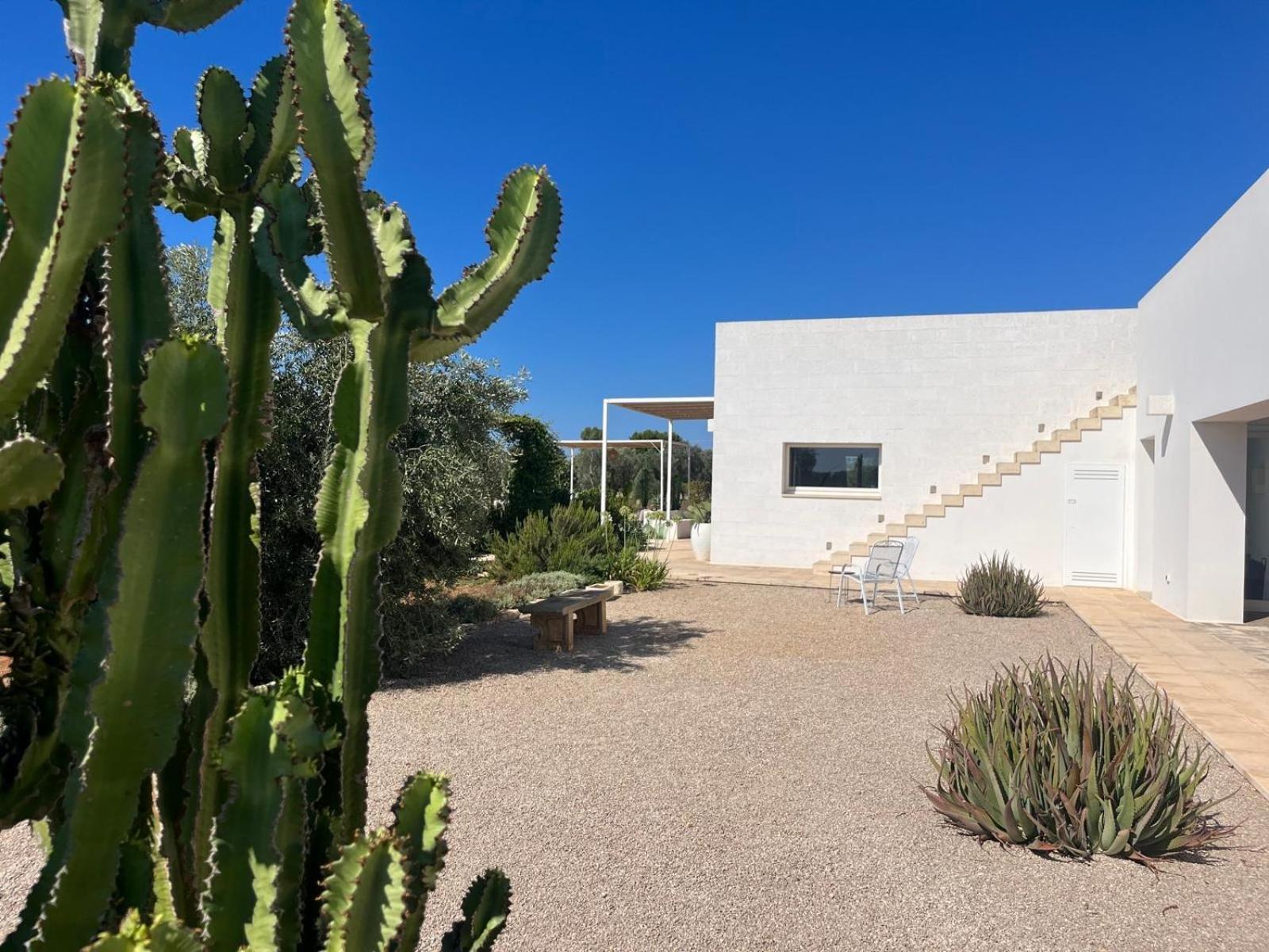 Villa Casa Bianca Di Porto Selvaggio Santa Caterina  Exteriér fotografie