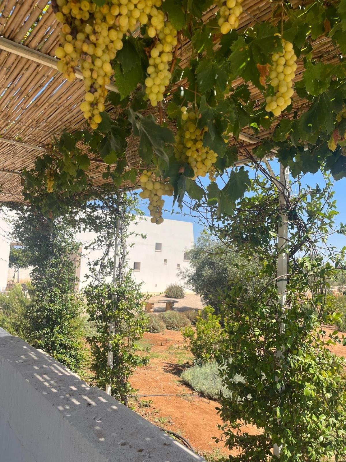 Villa Casa Bianca Di Porto Selvaggio Santa Caterina  Exteriér fotografie